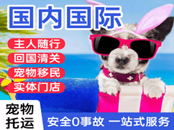 宁远航空快递国际宠物托运 【国